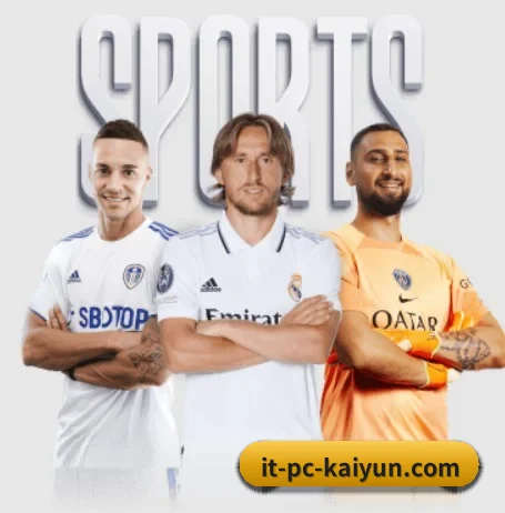 开云体育 APP 界面 | kaiyun global
