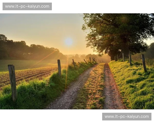 阳光之城的野心与风之都的灵魂：布里斯班vs惠灵顿，一场跨越塔斯曼海的感官对决