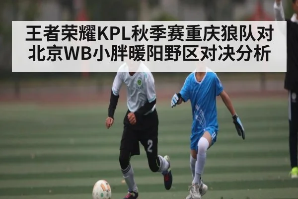 王者荣耀KPL秋季赛重庆狼队对北京WB小胖暖阳野区对决分析（kaiyun global）